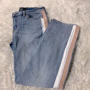 HUDSON Painted Stripe Nico Cigarette Jean Painted Stripes Women’s size 28